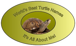 World's Best Turtle Names